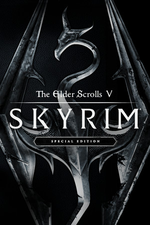 The Elder Scrolls V: Skyrim Special Edition cover art