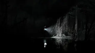 Silver Pines screenshot 8