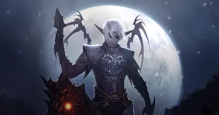 Lineage II screenshot 1