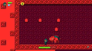 NIPH screenshot 3