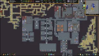 Dwarf Fortress screenshot 5