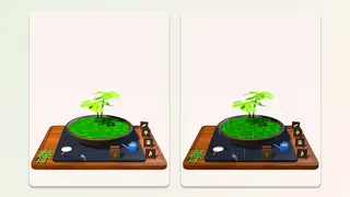 Little Pot, Big Seasons screenshot 3