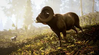 Hunting Simulator 3 screenshot 3