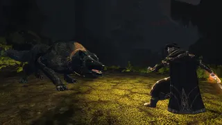 The Lord of the Rings Online™ screenshot 2