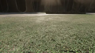 Six-Leaf Clover Hunt screenshot 1