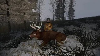 Deer Hunting - The Season 2 screenshot 26