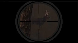 Deer Hunting - The Season 2 screenshot 5