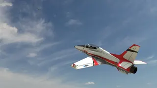 RealFlight Evolution screenshot 1