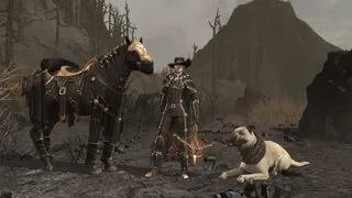 The Lord of the Rings Online™ screenshot 1